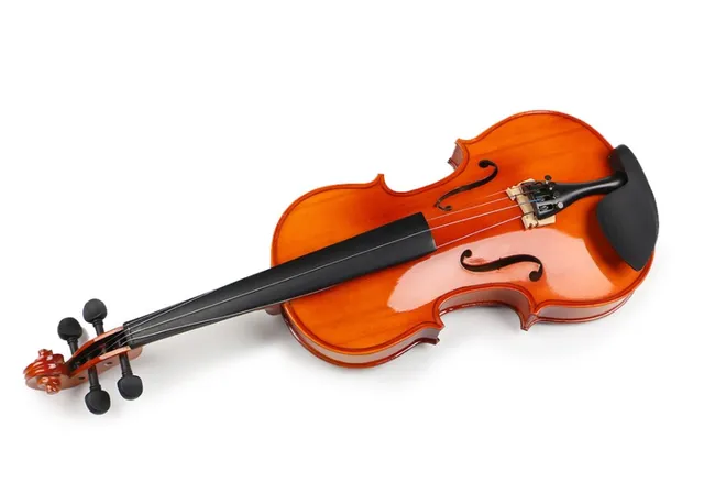 Violina - profesionalna violina