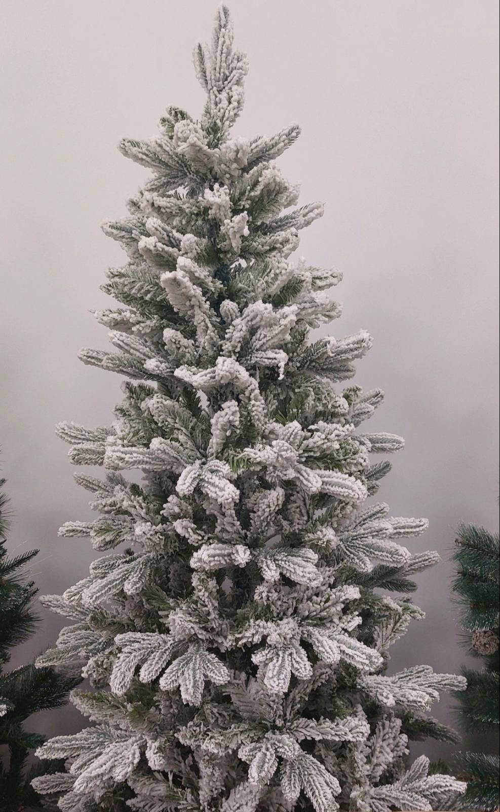 🎄Jelka Novogodišnja Bor prskana 120cm,150cm,180cm,210cm,240cm🎄