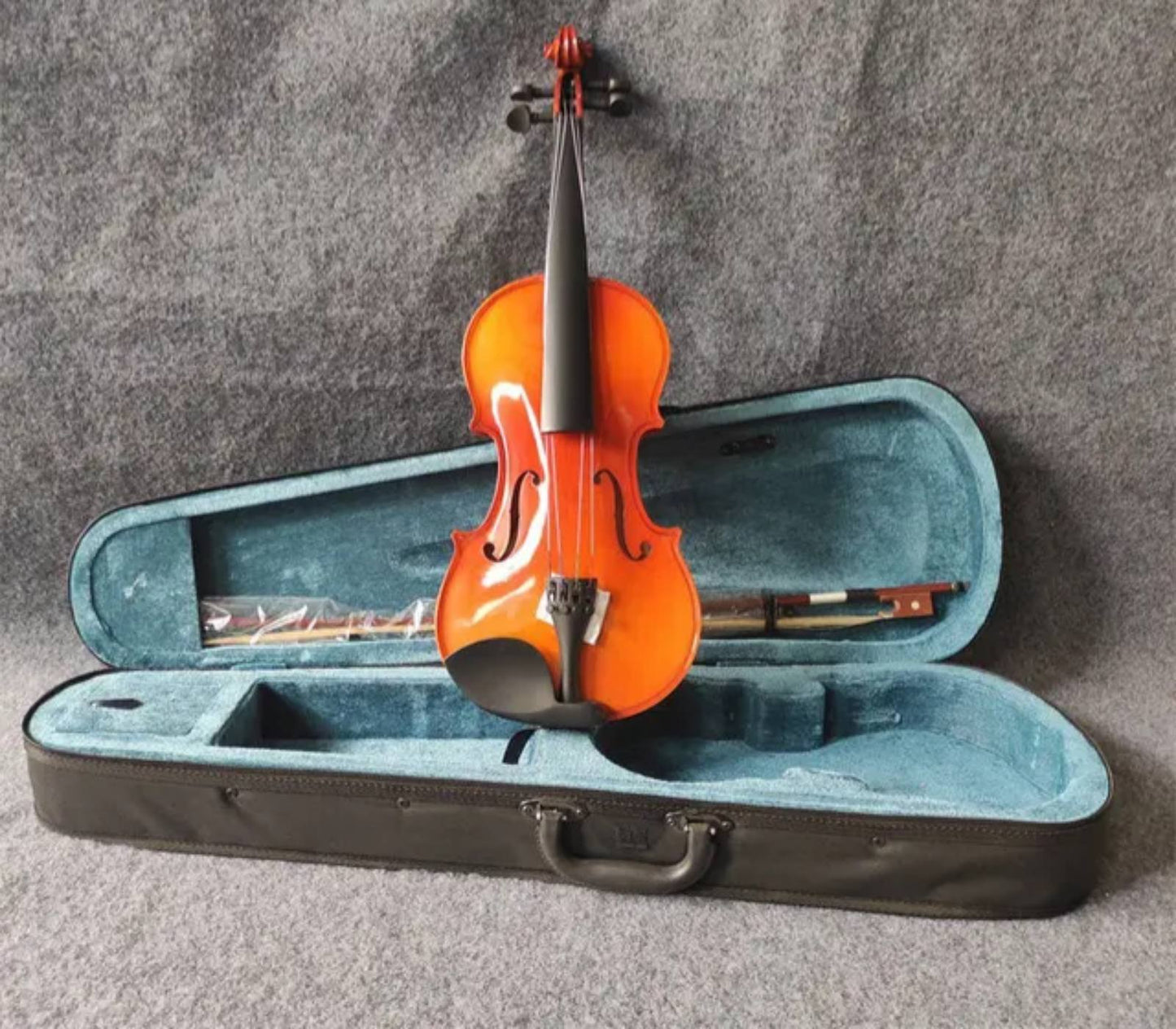 Violina - profesionalna violina