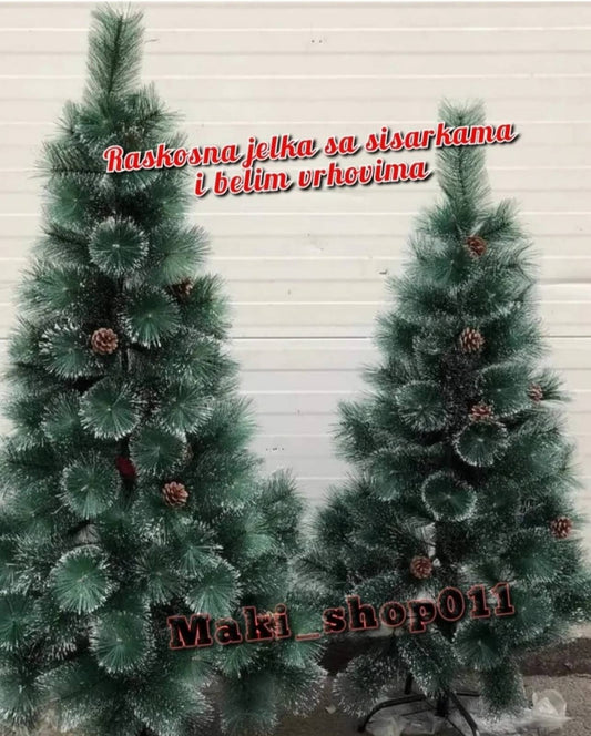 🎄🎄Novogodisnja Bor jelka sa sisarkama i belim vrhovima🎄🎄