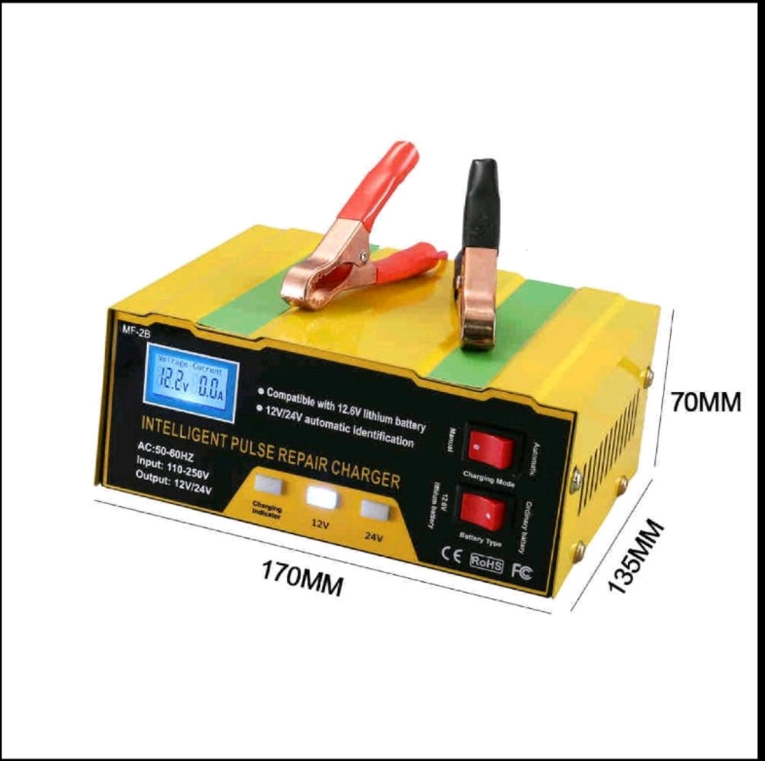 Punjac akumulatora 12V/24V...